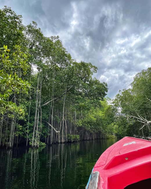 Floyd’s Pelican Bar, Ys Falls and Black River Safari Tour - How I would prepare for the day
