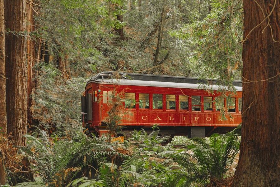 From Fort Bragg: Redwoods Train Ride and Nightclub Ticket - Boarding at the Fort Bragg Skunk Train Depot