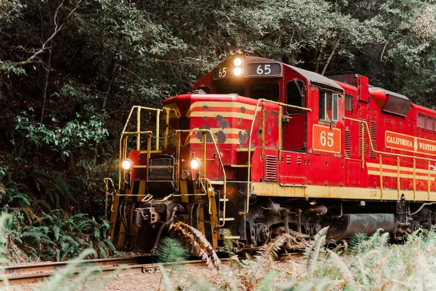 From Fort Bragg: Redwoods Train Ride and Nightclub Ticket - Live Music, Games, and Campfire Time
