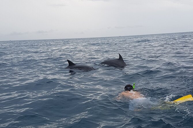Full - Day Private Zanzibar Tour with dolphins & Sunset Beach - Baraka Natural Aquarium in Nungwi