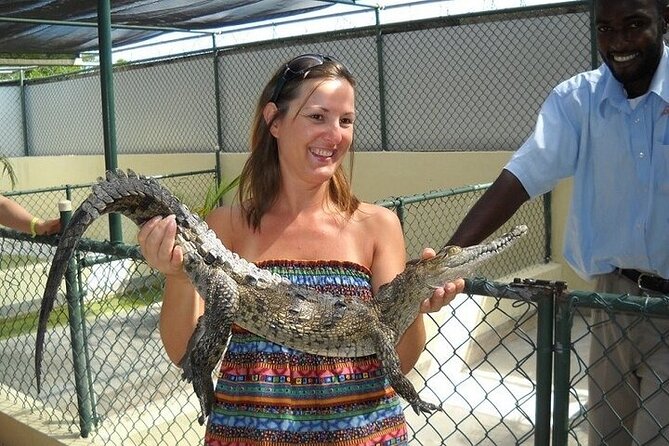 Full-Day South Coast - YS Falls, Pelican Bar & Black River Safari - Why This South Coast Combination Works
