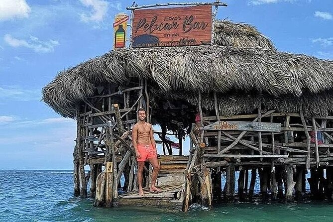 Full-Day South Coast - YS Falls, Pelican Bar & Black River Safari - Is $250.99 Good Value?