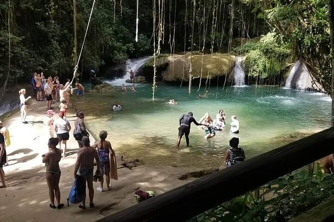Full-Day South Coast - YS Falls, Pelican Bar & Black River Safari - Timing, Fitness, and What to Bring