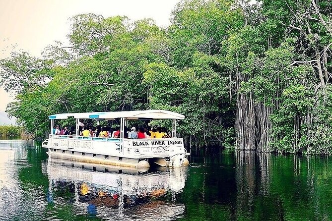 Full-Day South Coast - YS Falls, Pelican Bar & Black River Safari - Black River Safari: Wildlife from the Water