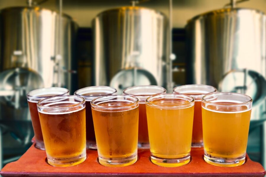 Gdansk Private Polish Beer Tasting Tour at Best Pubs & Bars - Who should book this beer tour?