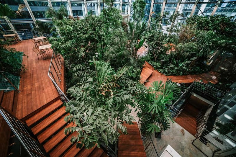 Gdańsk: Sky-High Views & Cocktail - Olivia Star Top Floor - Practical tips for a smoother visit