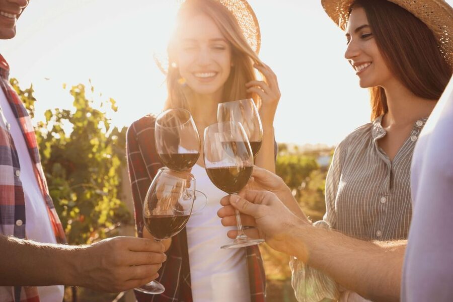 German Wine Self-Guided Tour in Munich's Old Town Wine Bars - Tips for making the three hours work