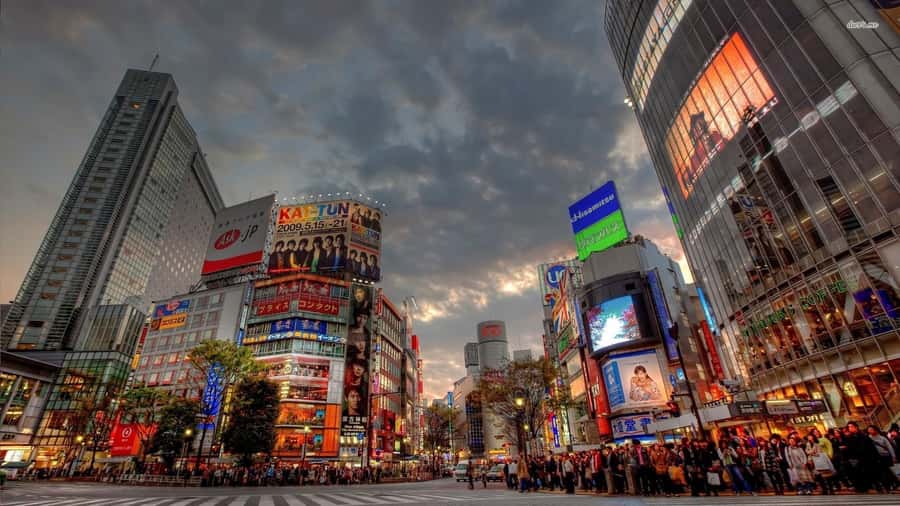 Get to know Shinjuku (nightlife optional) - Why Shinjuku works so well for an evening walk