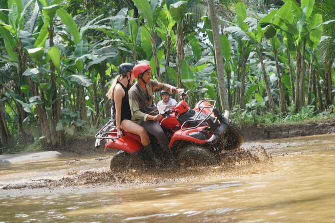 Gorilla Cave ATV Quad Bike and Lunch at Alas Sunset Pool & Bar - Lunch With Rice Field Views and Pool Access