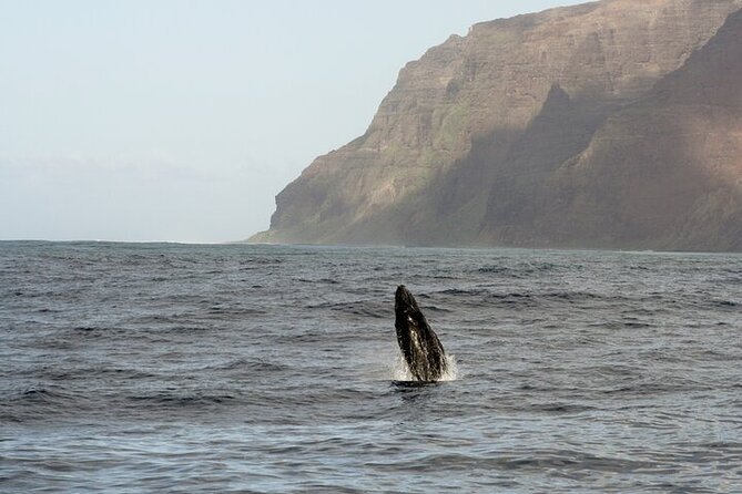 'Imiloa Express Whale Watch and Cocktail Tour - Is $135.90 a fair price?