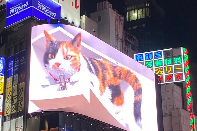 KABUKICHO DEEP TOUR + DINNER & BAR HOP w/local certified guide - Key points to know before booking