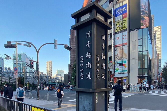 KABUKICHO DEEP TOUR + DINNER & BAR HOP w/local certified guide - Hanazono Shrine and a change of mood