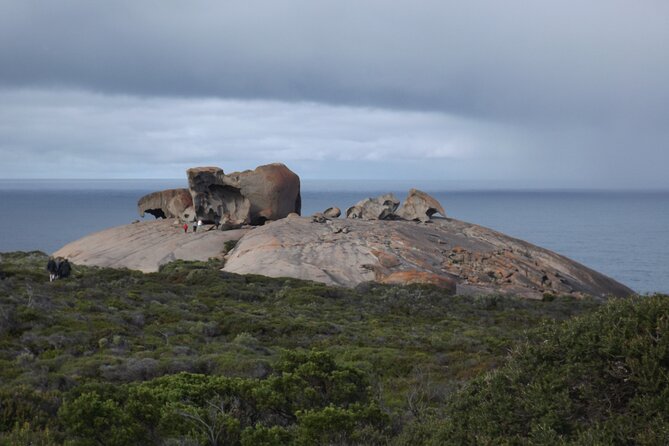 Kangaroo Island Spirits Cocktail Master Class - Timing, transport, and practical planning