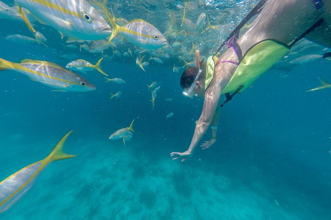 Key West Afternoon Snorkel Sail with Unlimited Cocktails! - The hour-long run to the Florida Reef