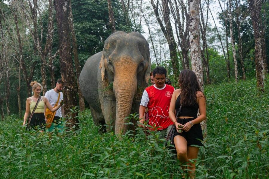 Khaolak: Sunset Elephant Walk with Complimentary Cocktail - Arriving at the Khao Lak sanctuary