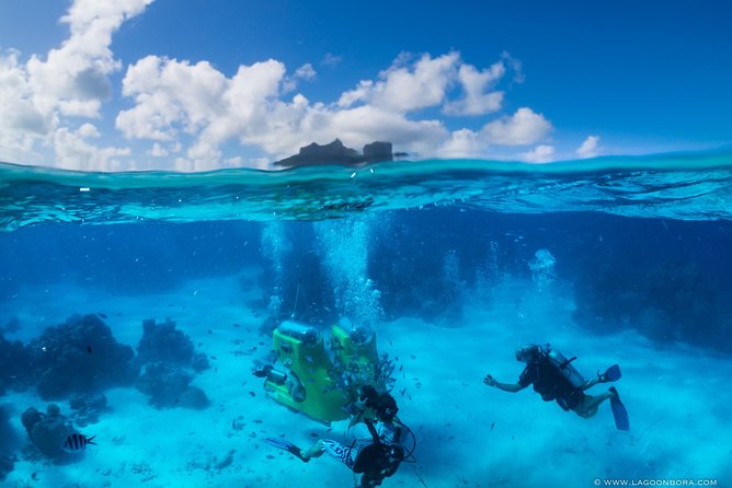 LUXURY Catamaran Bora Bora : Sailing, Snorkeling & Floating Bar - Snorkeling at the coral garden