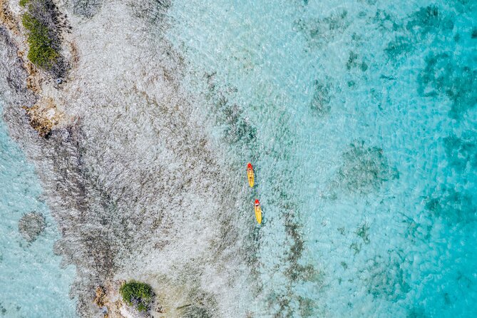 Luxury Lagoon Cruise with Onboard Chef and Signature Cocktails - The Rope Swing Is the Day’s Big Burst of Fun