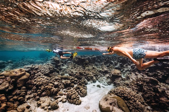 Luxury Lagoon Cruise with Onboard Chef and Signature Cocktails - Who Should Book This Cruise?