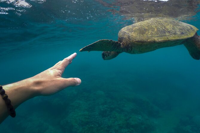 Maho Bay Turtle Snorkel with Lunch and Bar at Frenchman's Reef - The downwind ride back to St. Thomas