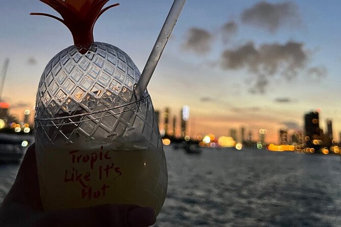 Miami Skyline Sunset Cruise with The Mojito Bar On board - The Port of Miami and downtown waterfront
