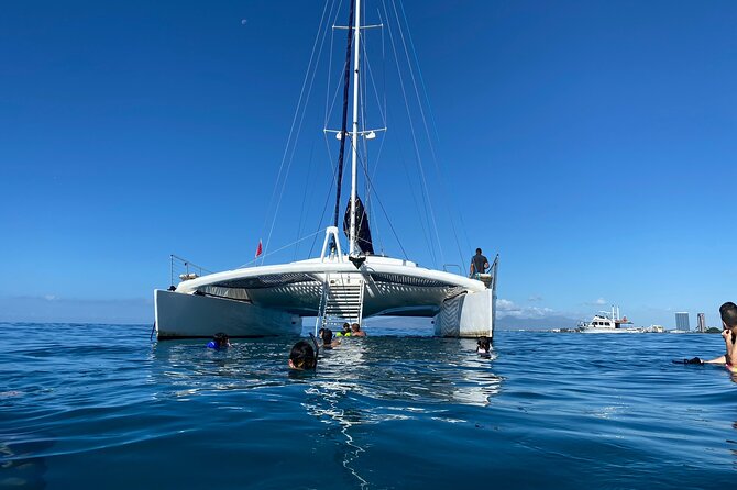 Moana’s Swim’n’Sail Cocktail Cruise Along the Waikiki Coast - The swim stop in clear water