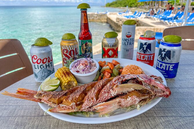 Money Bar All Inclusive Experience with Transportation - Snorkeling at Dzul Ha and Paraiso reefs