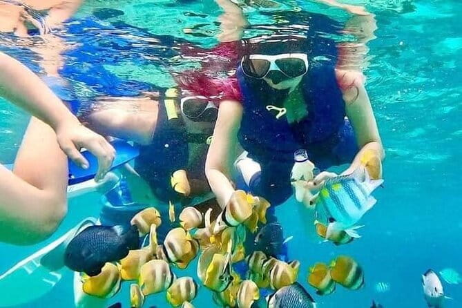 Monkey Bar and snorkling adventure at blue lagoon. - Why this combination works in one Bali day