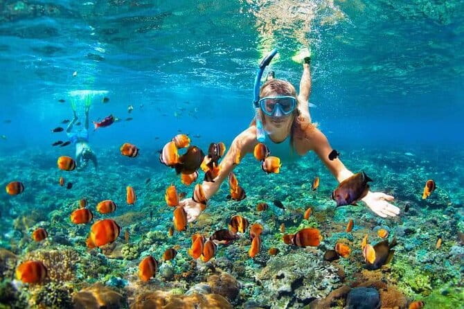 Monkey Bar and snorkling adventure at blue lagoon. - Lunch and the one-hour Monkey Bar stop