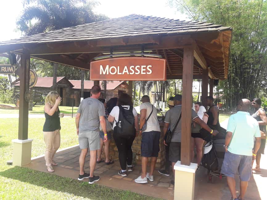 Montego Bay: 8-Hour Appleton & Pelican Bar Return Transfer - Key things to know before booking