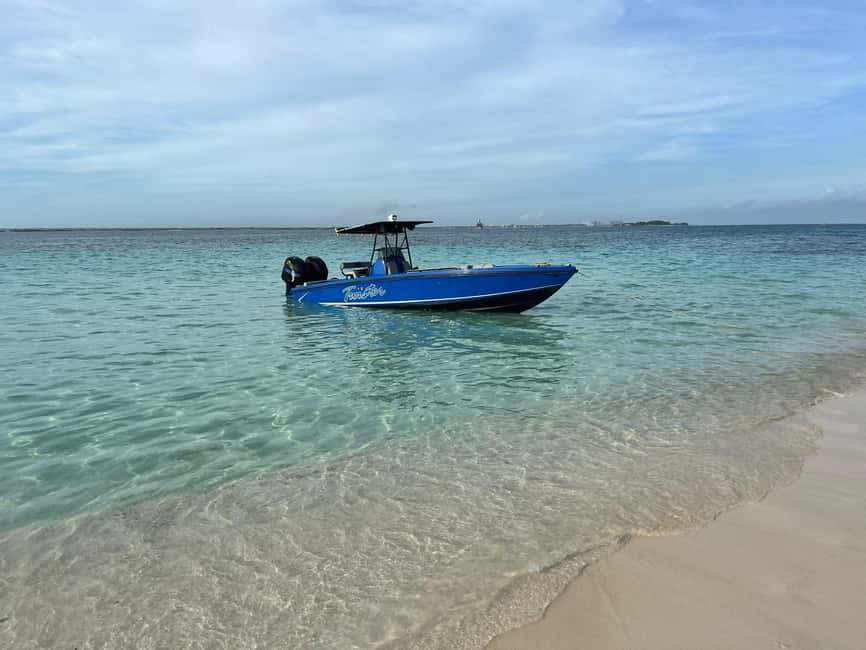 Nassau: Snorkeling, Swimming Pigs, Turtles & beach bar - Key points before you book