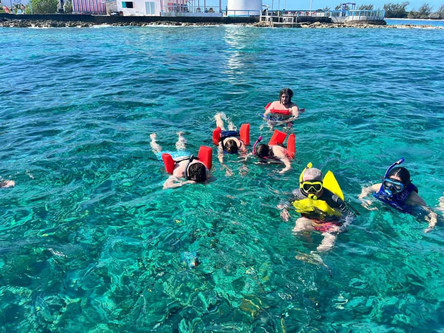 Nassau: Snorkeling, Swimming Pigs, Turtles & beach bar - Green Cay and the Bahamian turtles