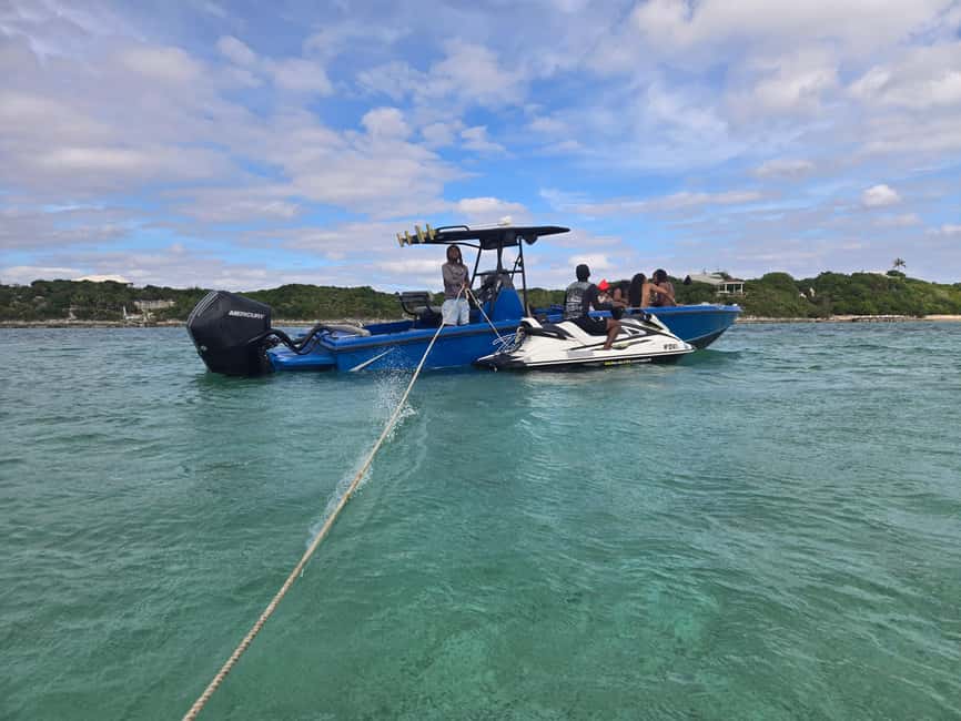 Nassau: Snorkeling, Swimming Pigs, Turtles & beach bar - Pig Beach, where the afternoon gets playful