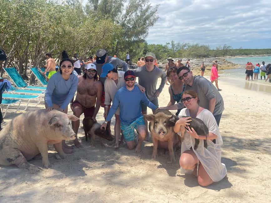 Nassau: Snorkeling, Swimming Pigs, Turtles & beach bar - Who should choose this tour?