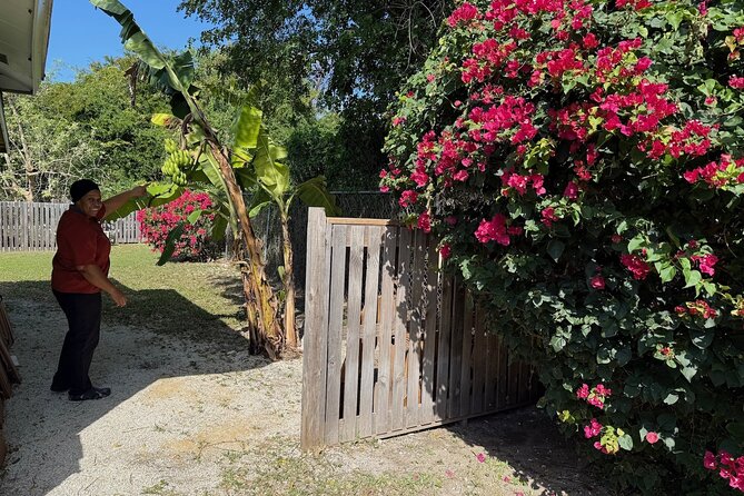 NEW! Authentic Bahamian Cooking and Cocktails with Transfers - What the private format is really worth