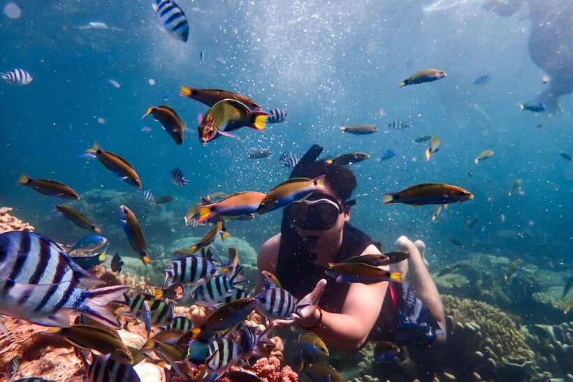 Nha Trang: Coral Reef Snorkeling, Mud Bath & Floating Bar - One hour over Nha Trang’s coral reef
