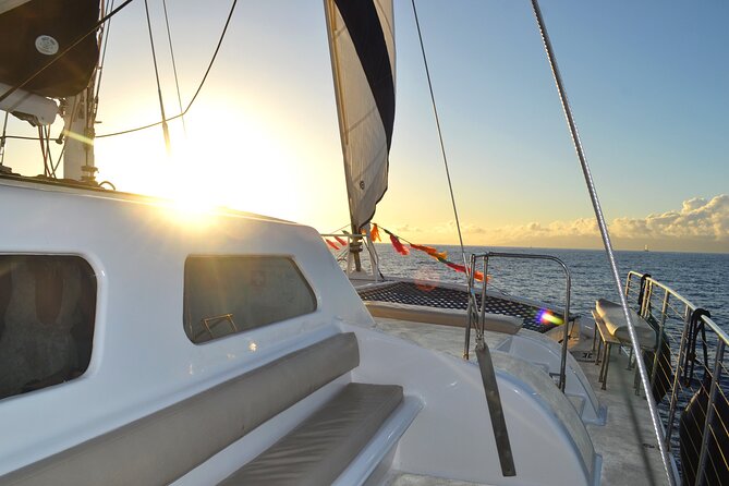 Oahu's Waikiki Coast: Moana’s Sunset Cocktail Sail - Dolphins, humpback whales, and luck on the water