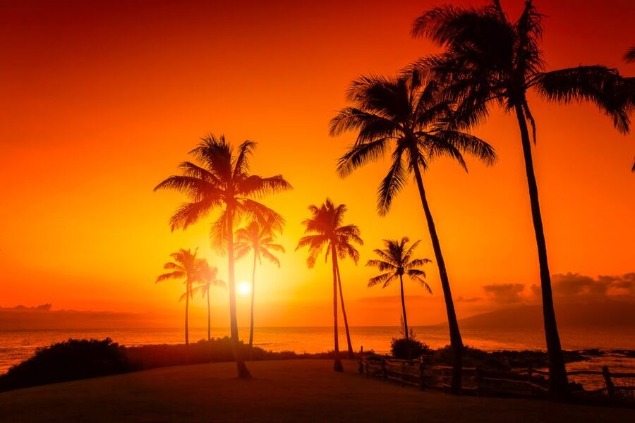 Oahu: West Oahu Sunset Cruise with Cocktails and Appetizers - Watching the Wai‘anae Mountains Fade Into Sunset