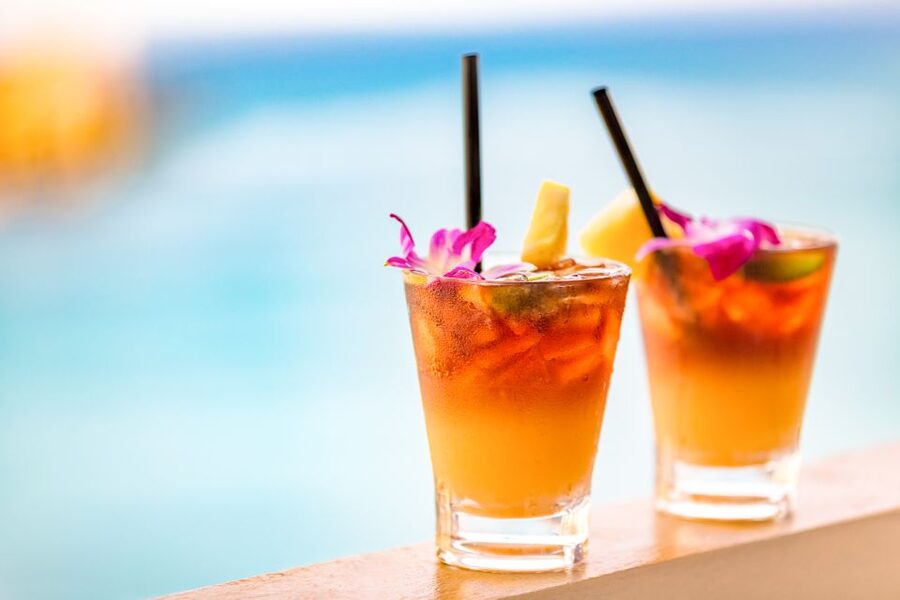 Oahu: West Oahu Sunset Cruise with Cocktails and Appetizers - The Crew and the Feel of the Evening