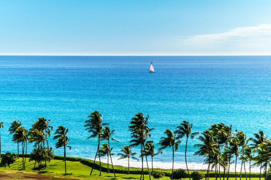 Oahu: West Oahu Sunset Cruise with Cocktails and Appetizers - Booking Flexibility and Practical Details