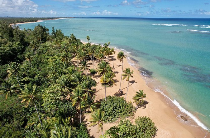 PR Chinchorreo-Beach and Bar Hopping Tour - Maunabo and the black sand beach