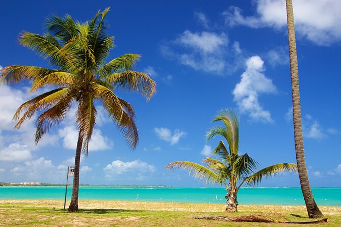 PR Chinchorreo-Beach and Bar Hopping Tour - The guides can make or break the day