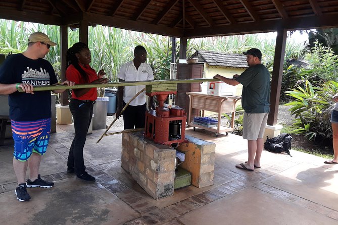 Private Appleton Estate Rum and Pelican Bar Tour from Montego Bay - Why this private Montego Bay day trip works