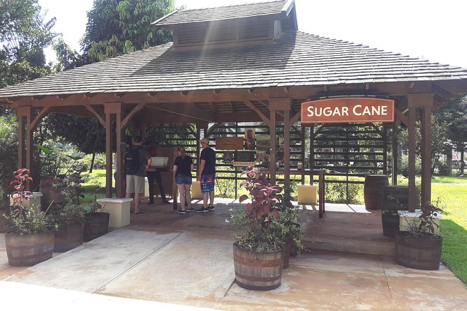 Private Appleton Estate Rum and Pelican Bar Tour from Montego Bay - What you actually taste at the estate