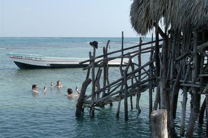 Private Appleton Estate Rum and Pelican Bar Tour from Montego Bay - Who will enjoy this tour most?