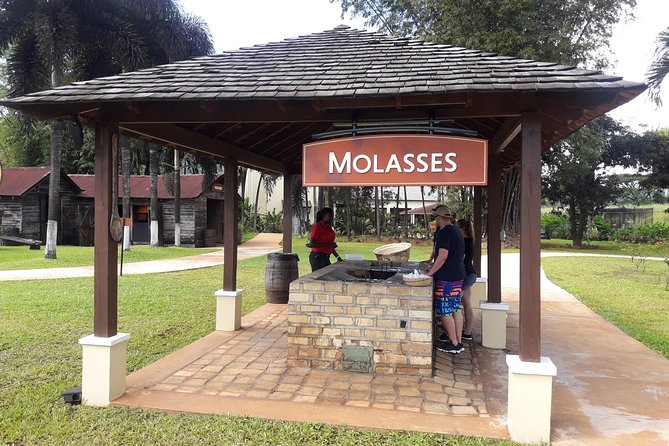 Private Appleton Estate Rum and Pelican Bar Tour from Montego Bay - Appleton Estate: from sugar cane to aging rum
