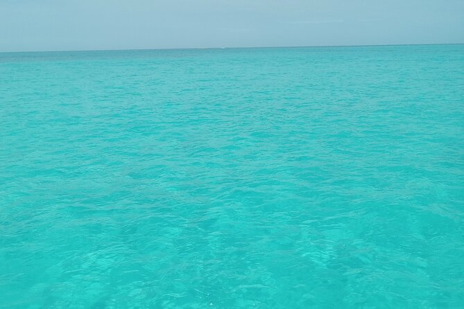 Private speed boat beach and bar hopping visiting Rose island - A Four-Hour Escape From Nassau’s Busy Shore