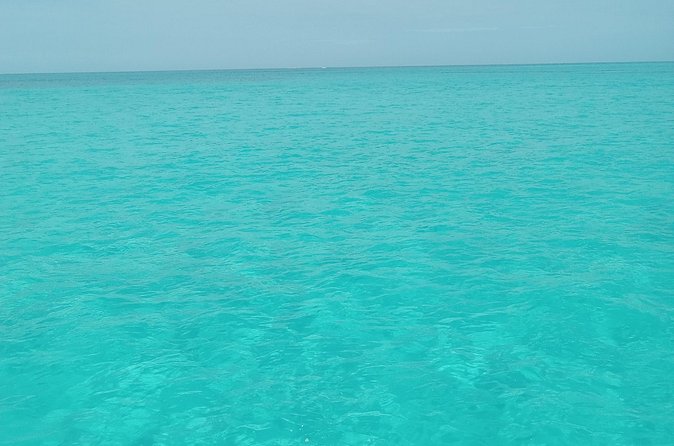 Private speed boat beach and bar hopping visiting Rose island - Practical Details Before You Book