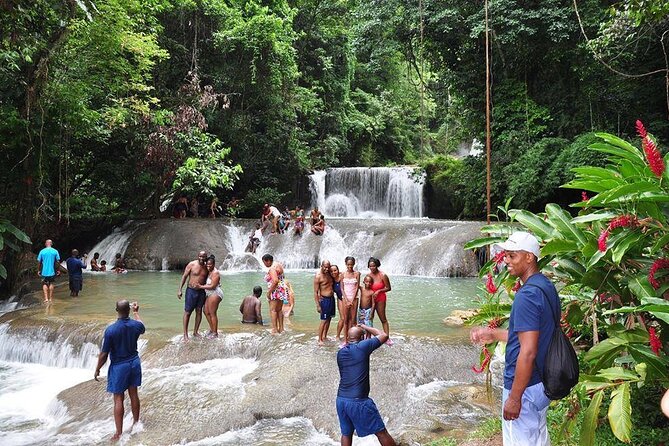 Private Tour from Negril to YS Falls and Pelican Bar - Key Points Before You Book