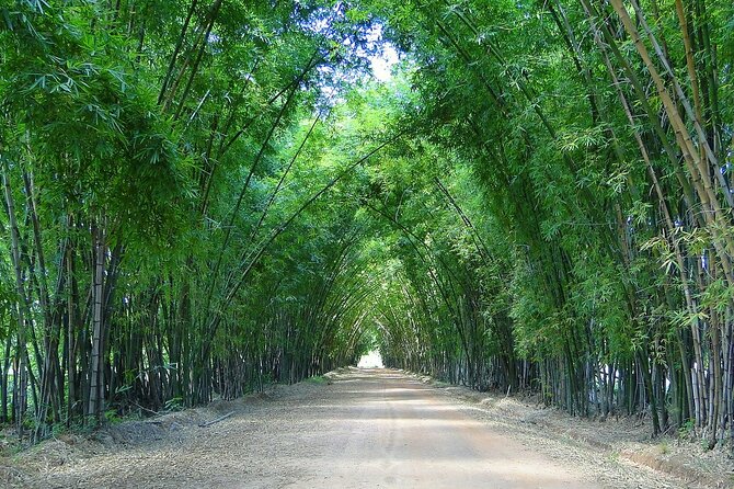 Private Tour from Negril to YS Falls and Pelican Bar - South to Parottee Bay and Floyd’s Pelican Bar