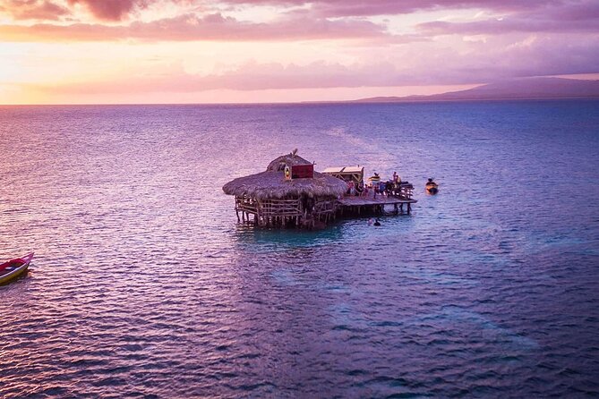 Private Tour from Negril to YS Falls and Pelican Bar - Wes and the Value of a Private Guide